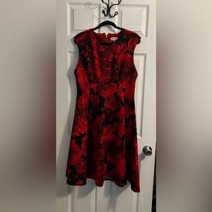 Calvin Klein Red and Black Dress